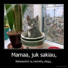 Mamaa, juk sakiau, - Nebesodink tų katinėlių daigų..