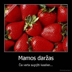 Mamos daržas - Čia verta sugrįžti kasdien...