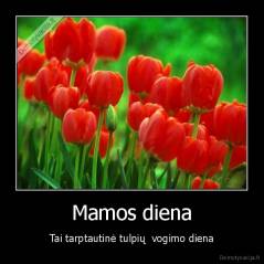 Mamos diena - Tai tarptautinė tulpių  vogimo diena