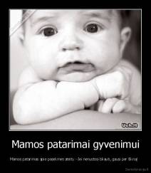 Mamos patarimai gyvenimui - Mamos patarimas apie pasekmes ateity: -Jei nenustosi bliauti, gausi per šikną!  