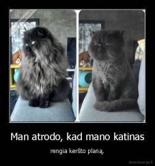 Man atrodo, kad mano katinas - rengia keršto planą.