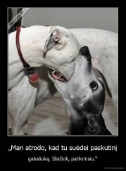 „Man atrodo, kad tu suėdei paskutinį - gabaliuką. Išsižiok, patikrinsiu.“