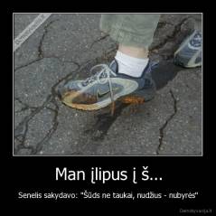 Man įlipus į š... - Senelis sakydavo: "Šūds ne taukai, nudžius - nubyrės"