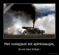 Man nusispjauti ant aplinkosaugos, - tai yra mano širdyje !