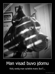 Man visad buvo įdomu - Kokį vardą man suteikė mano šuo?...