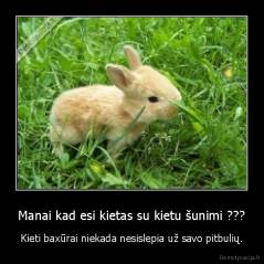 Manai kad esi kietas su kietu šunimi ??? - Kieti baxūrai niekada nesislepia už savo pitbulių.