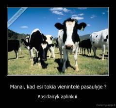 Manai, kad esi tokia vienintelė pasaulyje ? - Apsidairyk aplinkui.