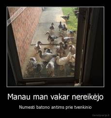 Manau man vakar nereikėjo - Numesti batono antims prie tvenkinio