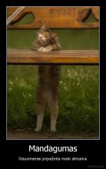 Mandagumas - Visuomenės pripažinta melo atmaina