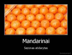 Mandarinai - Sezonas atidarytas