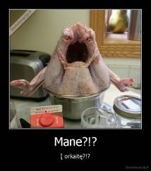 Mane?!? - Į orkaitę?!?