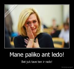 Mane paliko ant ledo! - Bet juk tave ten ir rado!