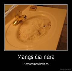 Manęs čia nėra - Nematomas katinas