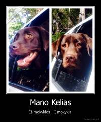 Mano Kelias - Iš mokyklos - Į mokykla