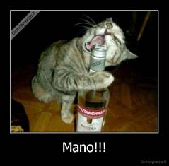 Mano!!! - 