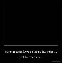 Mano auksinė žuvvelė stebėjo šitą video ... - jis dabar yra ryklys!!!