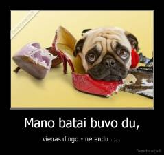 Mano batai buvo du, - vienas dingo - nerandu . . .