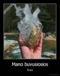 Mano buvusiosios - Širdis