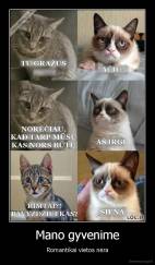 Mano gyvenime - Romantikai vietos nėra