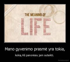 Mano gyvenimo prasmė yra tokia, - kokią Aš panorėsiu jam suteikti. 
