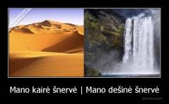 Mano kairė šnervė | Mano dešinė šnervė - 