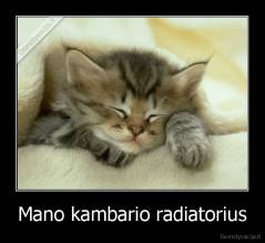 Mano kambario radiatorius - 