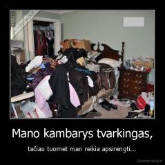Mano kambarys tvarkingas, - tačiau tuomet man reikia apsirengti...