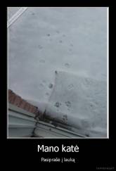 Mano katė - Pasiprašė į lauką