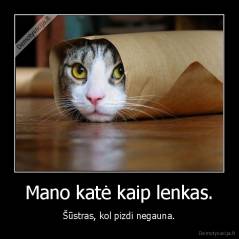 Mano katė kaip lenkas. - Šūstras, kol pizdi negauna.