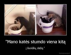 "Mano katės stumdo viena kitą - į šiukšlių dėžę."