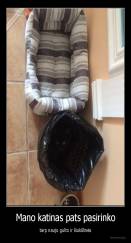 Mano katinas pats pasirinko - tarp naujo gulto ir šiukšlinės