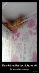 Mano katinas šiek tiek kitoks, nei kiti - Štai kas būna, kai jis pamato pelę