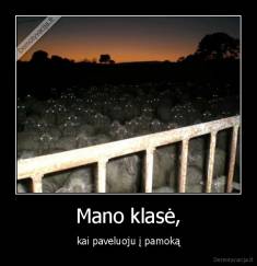 Mano klasė, - kai paveluoju į pamoką