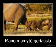Mano mamytė geriausia - 