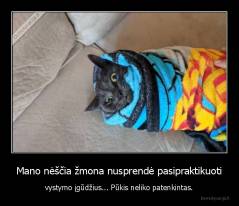 Mano nėščia žmona nusprendė pasipraktikuoti - vystymo įgūdžius... Pūkis neliko patenkintas.