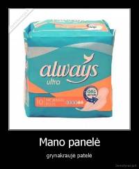 Mano panelė - grynakraujė patelė