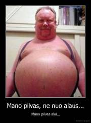 Mano pilvas, ne nuo alaus... -  Mano pilvas alui...