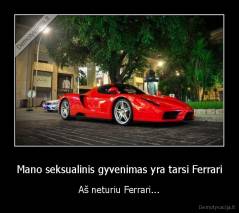 Mano seksualinis gyvenimas yra tarsi Ferrari - Aš neturiu Ferrari...