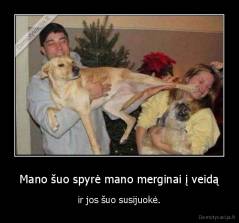 Mano šuo spyrė mano merginai į veidą - ir jos šuo susijuokė.