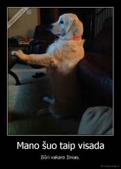 Mano šuo taip visada - žiūri vakaro žinias.