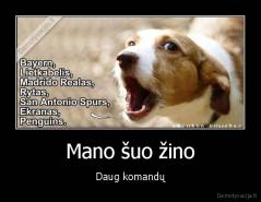 Mano šuo žino - Daug komandų