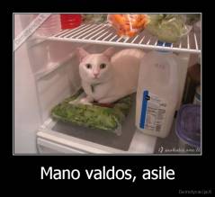 Mano valdos, asile - 