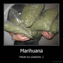 Marihuana - Viskas tuo pasakyta :)