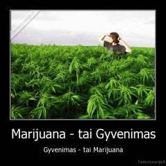 Marijuana - tai Gyvenimas - Gyvenimas - tai Marijuana