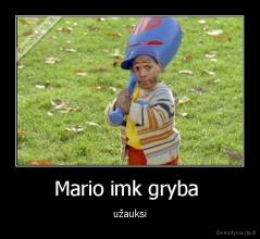 Mario imk gryba  - užauksi