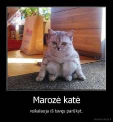 Marozė katė - reikalauja iš tavęs parūkyt.