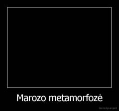 Marozo metamorfozė - 