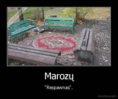 Marozų - "Respawnas".