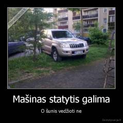 Mašinas statytis galima - O šunis vedžioti ne