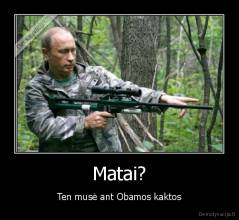 Matai? - Ten musė ant Obamos kaktos
